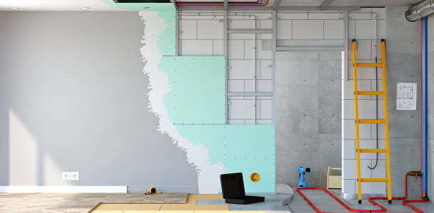 Best Emergency Mold Remediation  in West Fork, AR