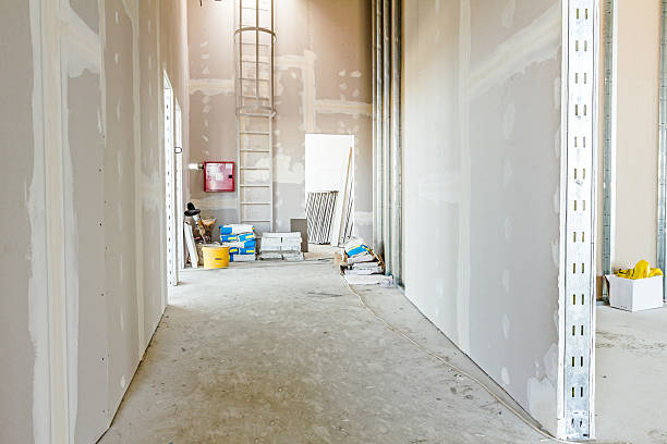 Mold Documentation for Insurance Claims in West Fork, AR